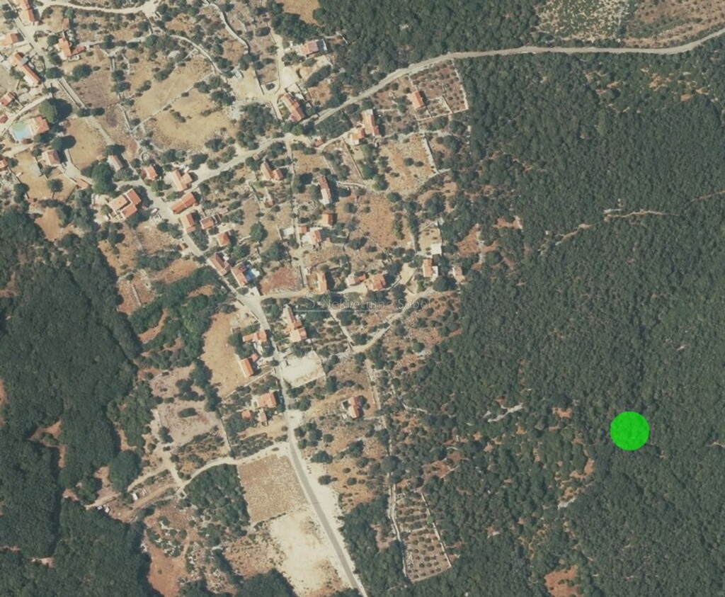 Image 6245119 - 2