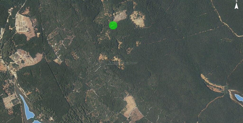 Image 6245120 - 2