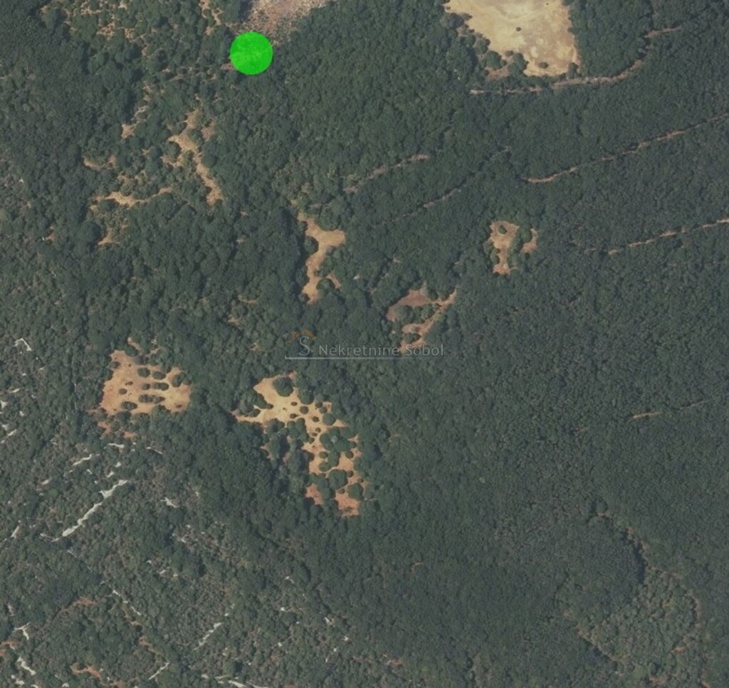 Image 6245120 - 1