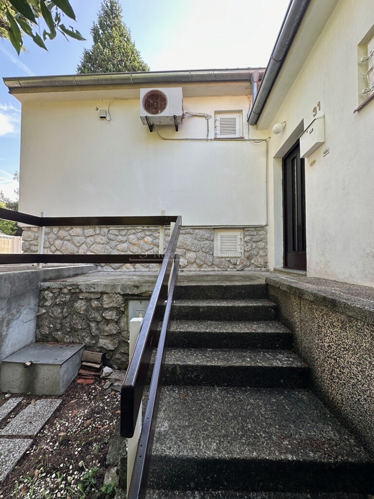 Image 6245121 - 8
