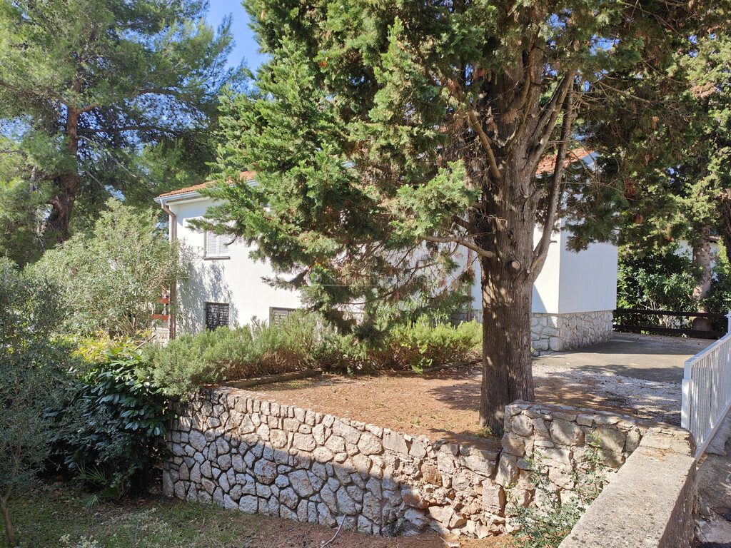 Image 6245121 - 1