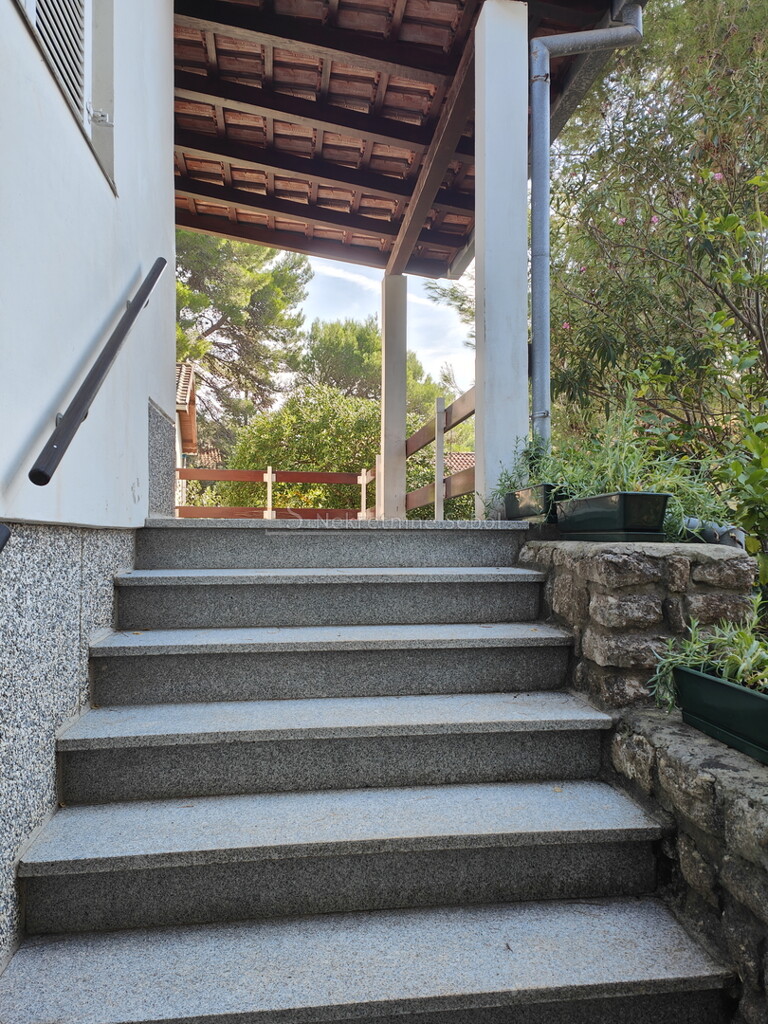 Image 6245121 - 6