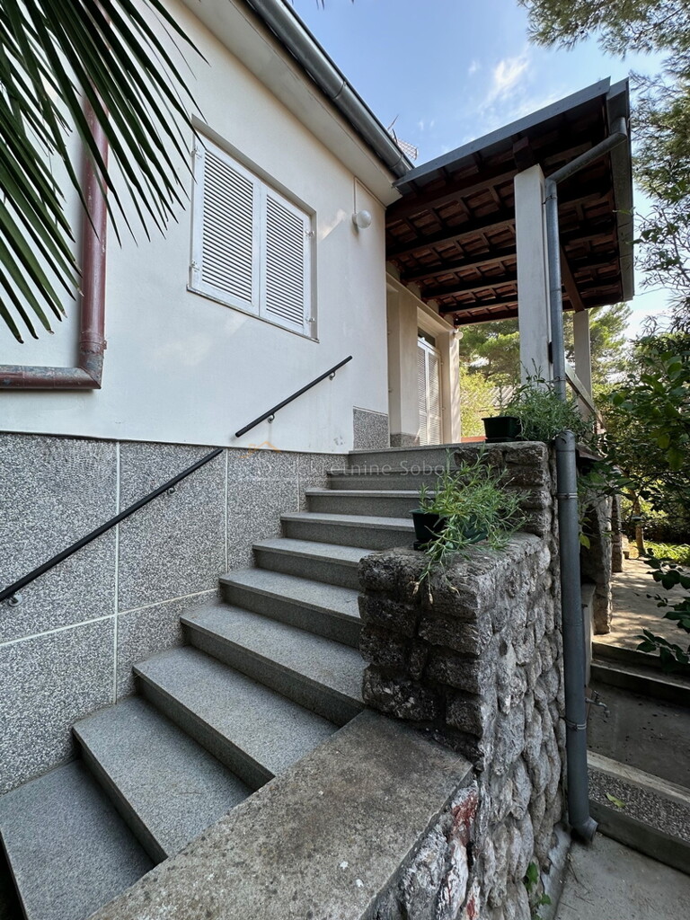 Image 6245121 - 5