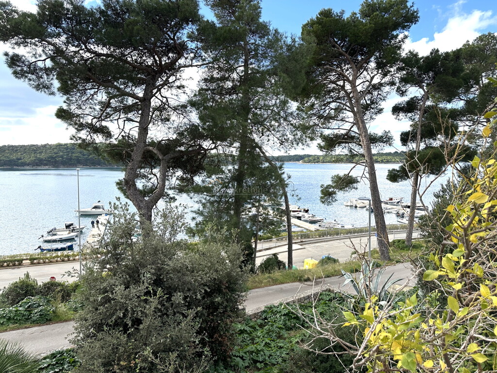Image 6245129 - 2
