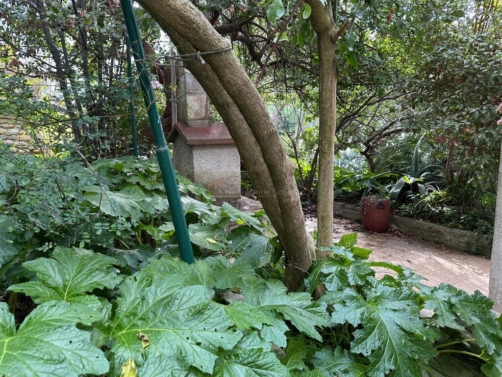 Image 6245129 - 5