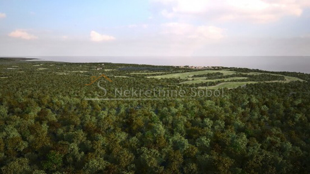 Image 6245136 - 2