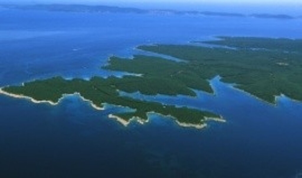 Image 6245138 - 1