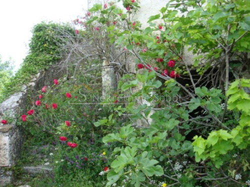 Thumbnail 6245141 - 3