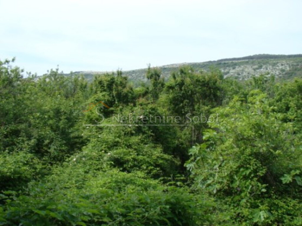 Image 6245141 - 8