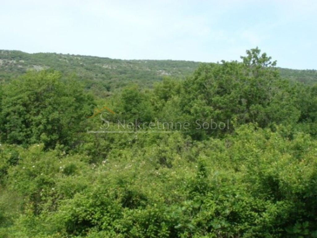 Image 6245141 - 7