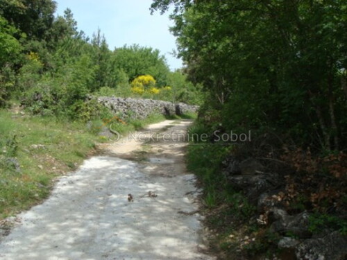 Thumbnail 6245141 - 10