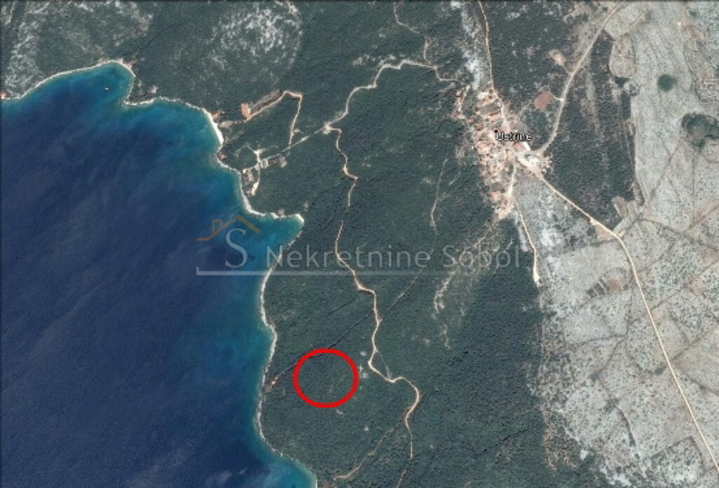 Image 6245142 - 1