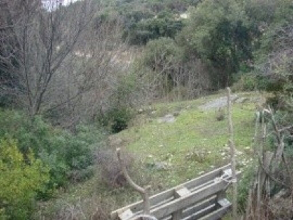 Image 6245146 - 4