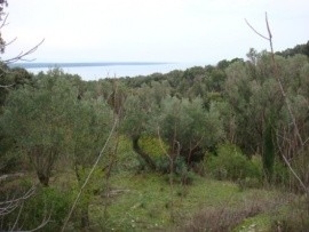 Image 6245146 - 2
