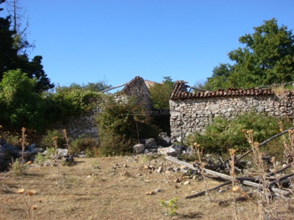 Image 6245157 - 3