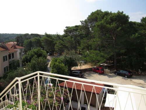Thumbnail 6245163 - 11