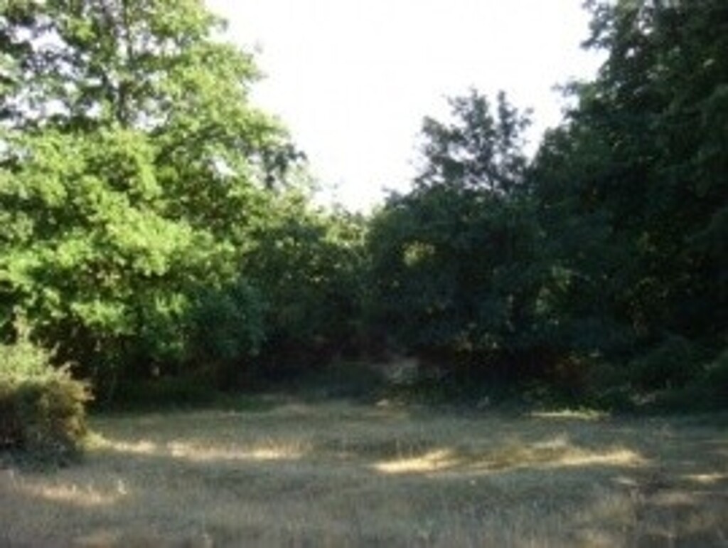 Image 6245164 - 2