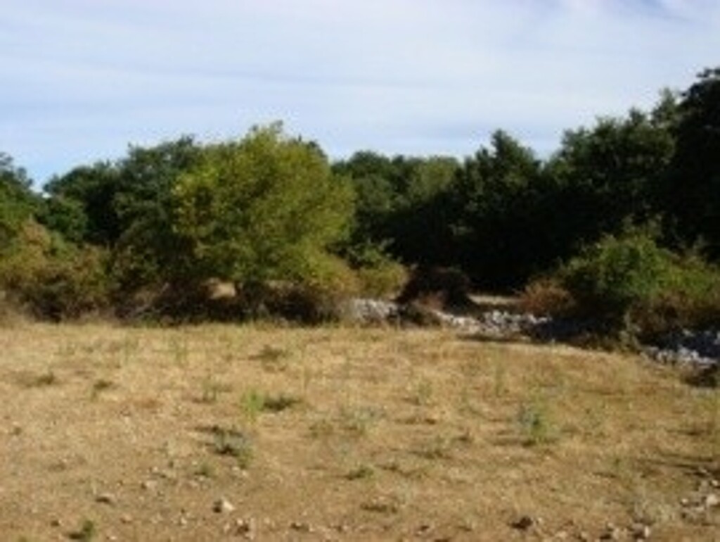 Image 6245164 - 3