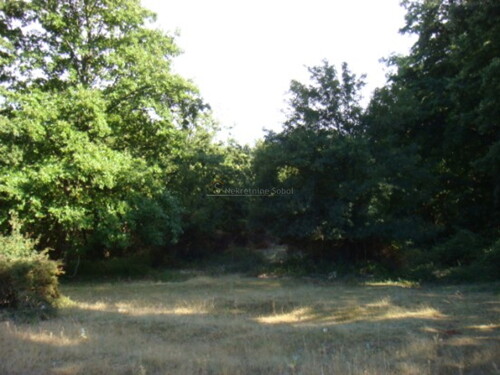 Thumbnail 6245165 - 3