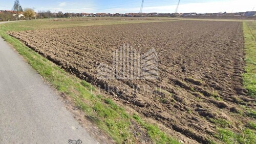 Thumbnail 6245208 - 1
