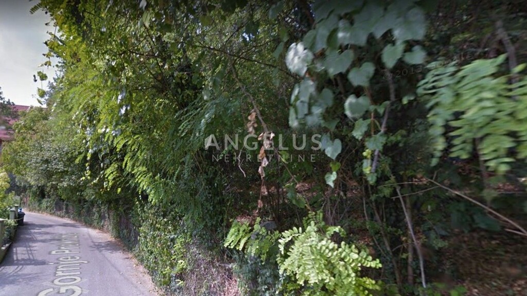 Image 6245240 - 1