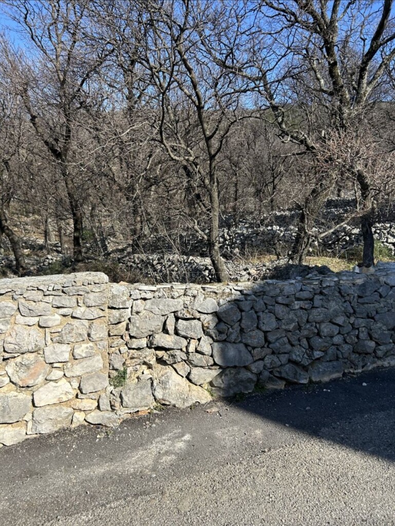 Image 6245283 - 9
