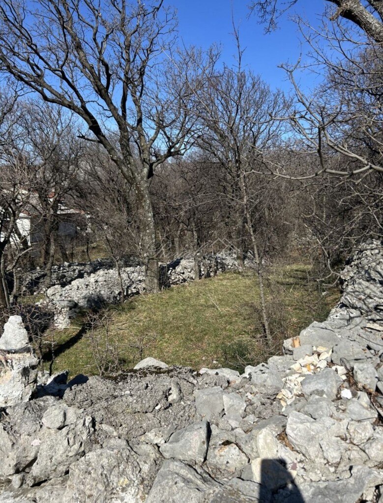 Image 6245283 - 7