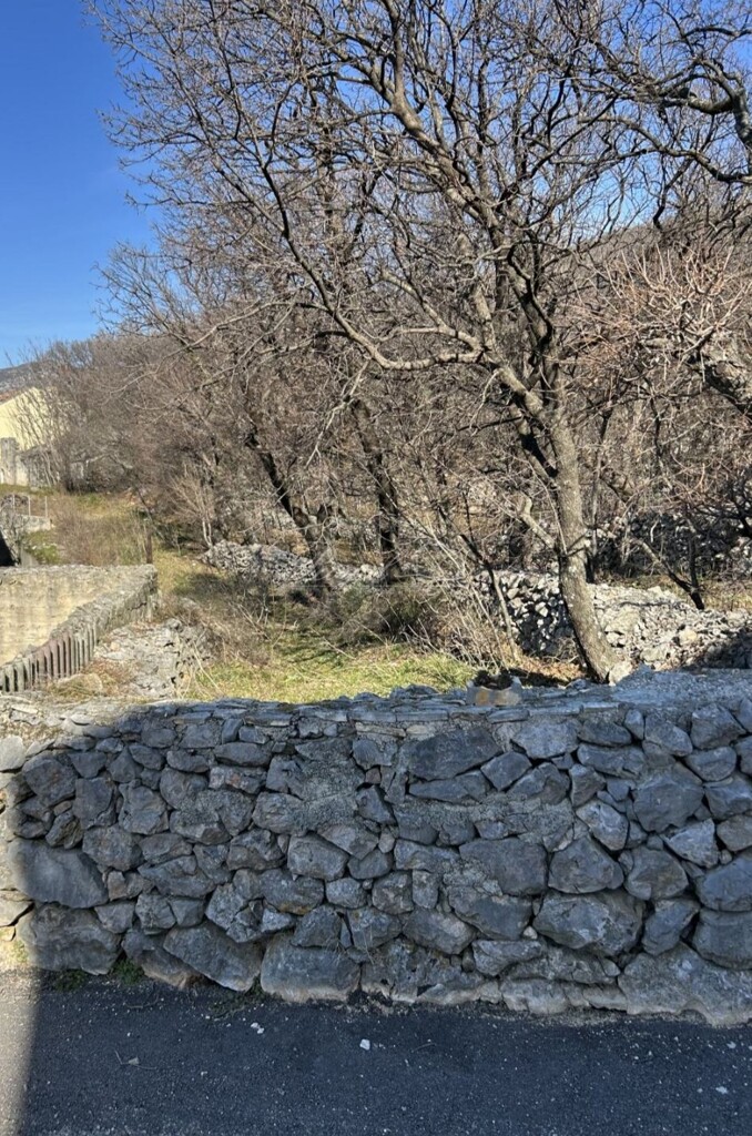 Image 6245283 - 4