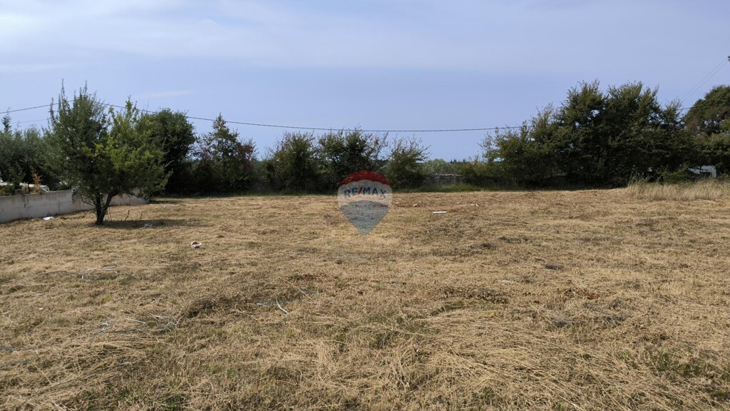 Image 6245370 - 3