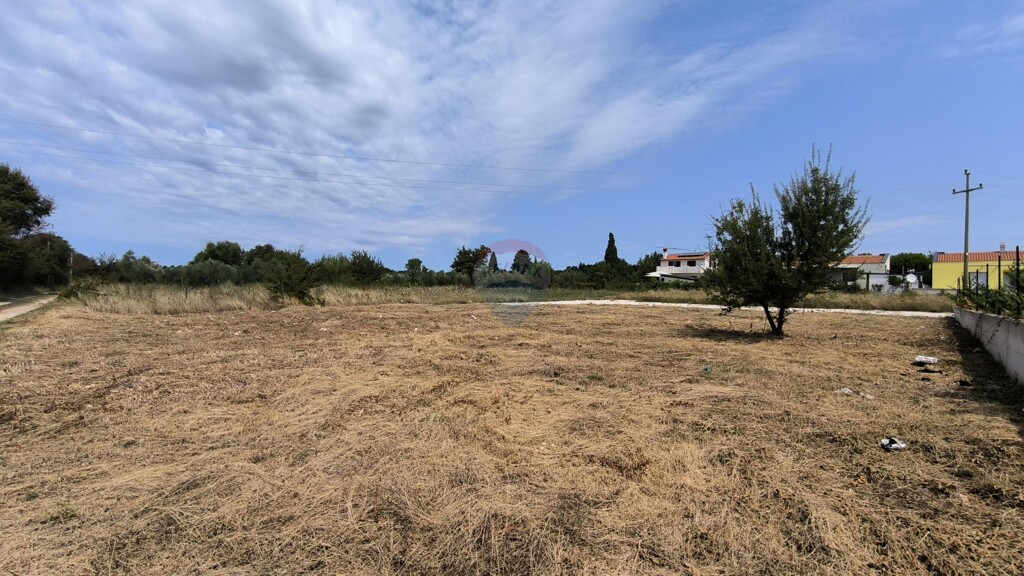 Image 6245370 - 2