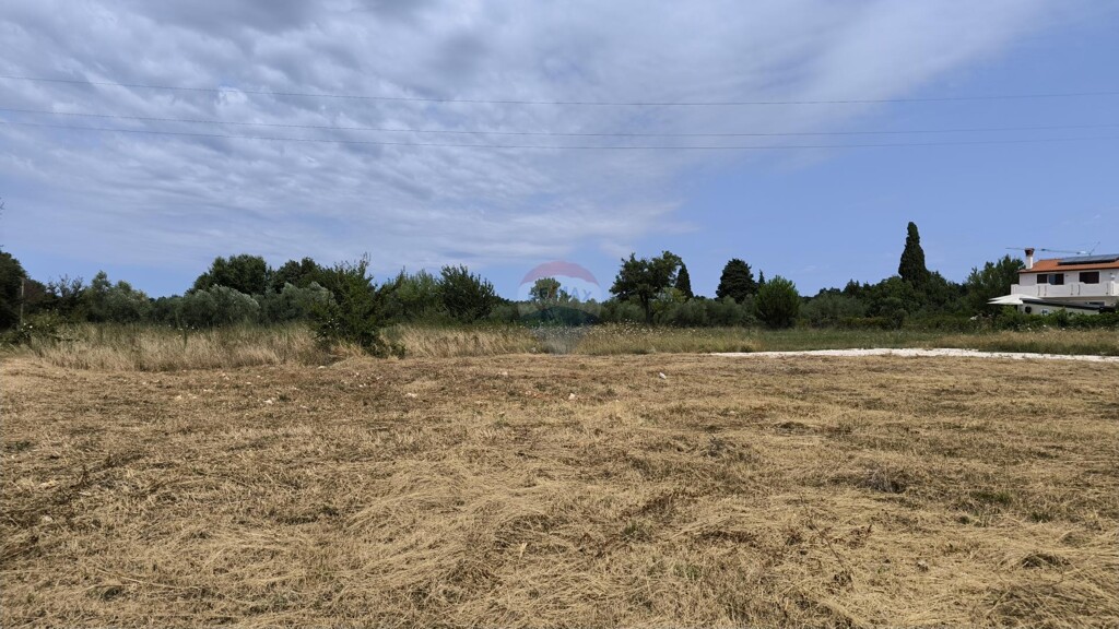 Image 6245370 - 1