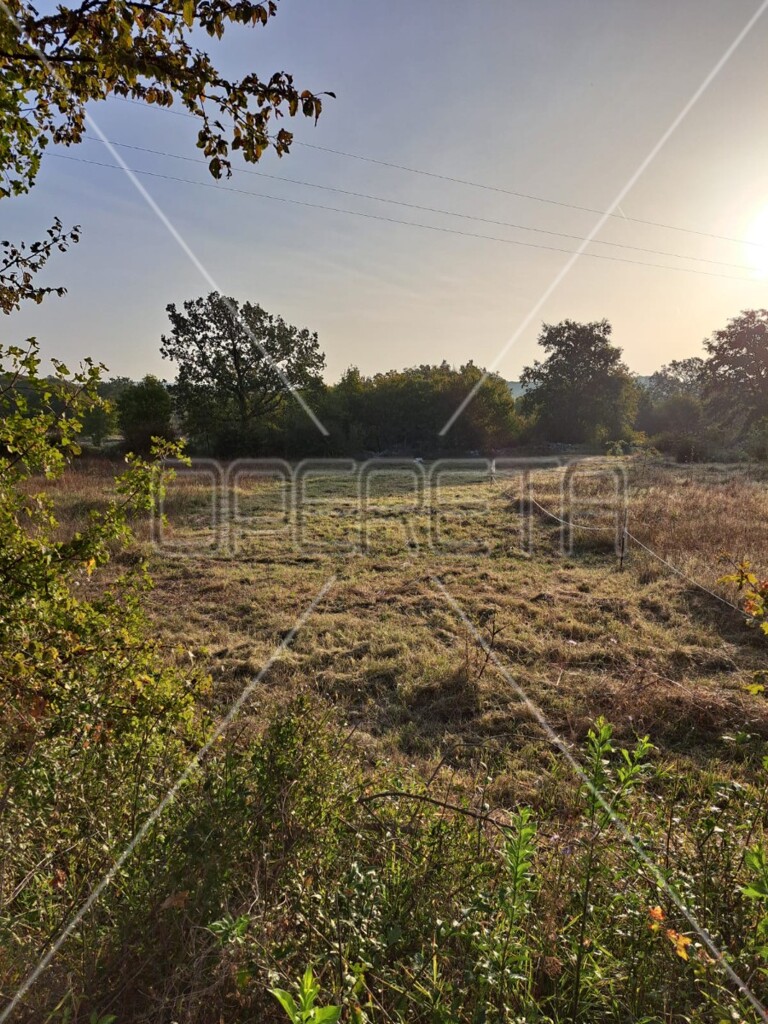 Image 6245595 - 2