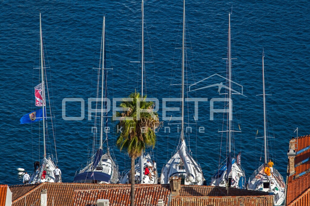 Image 6245606 - 16