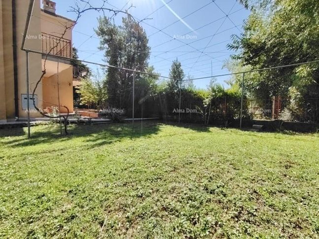 Image 6245639 - 6