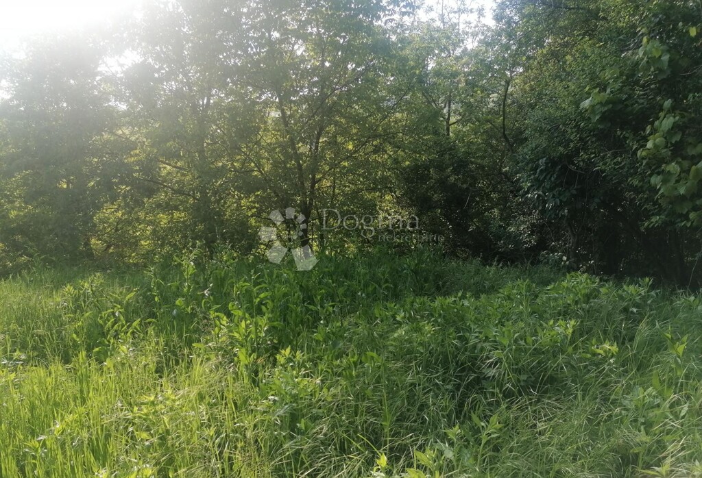 Image 6245786 - 2