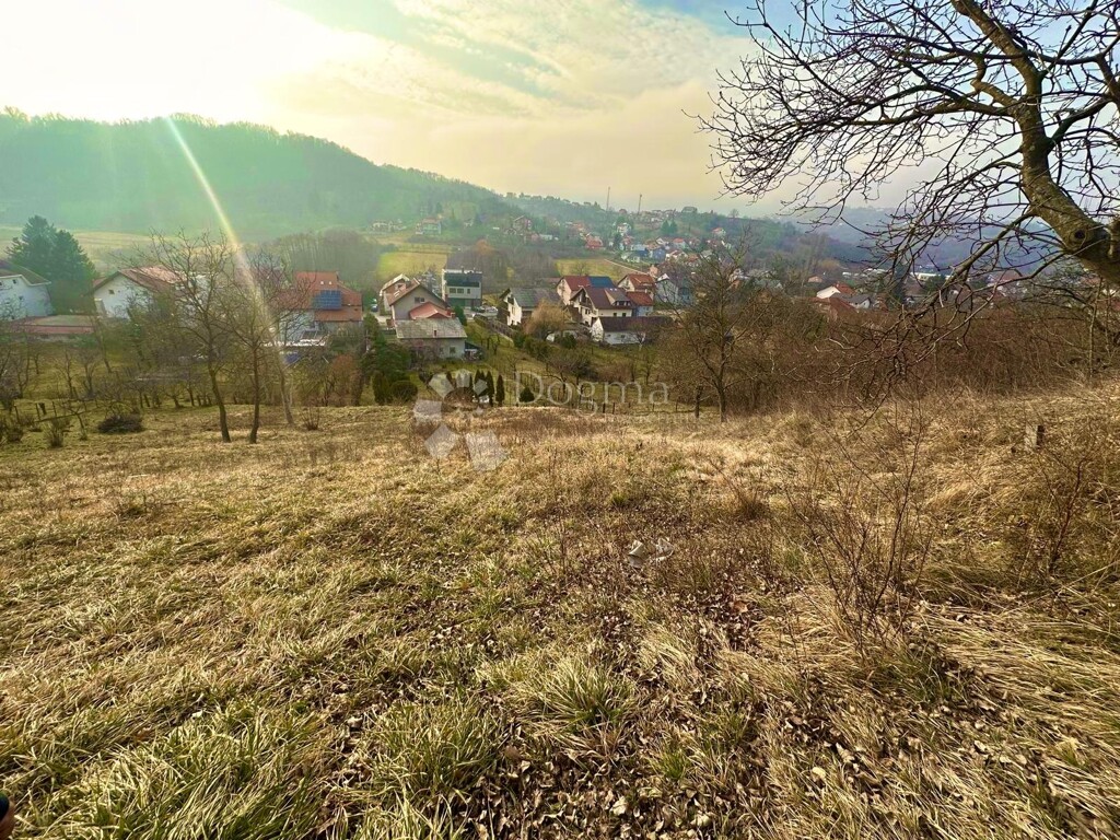 Image 6245799 - 3