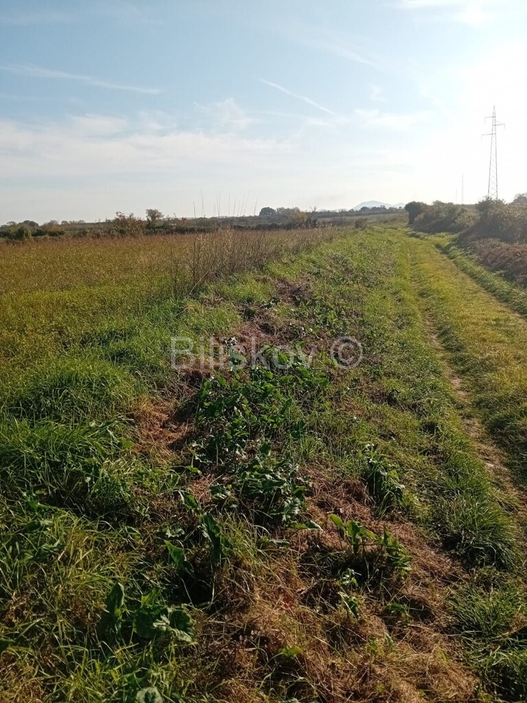 Image 6245847 - 5