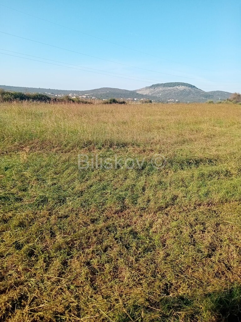 Image 6245847 - 1