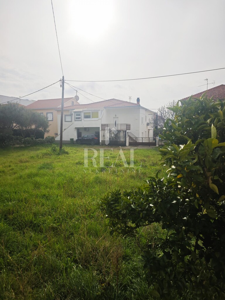 Image 6245860 - 2