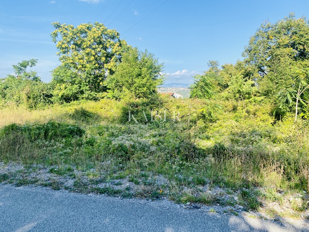 Image 6245935 - 2