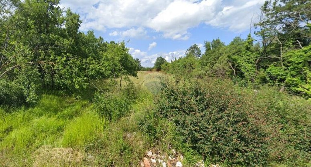 Image 6245957 - 2