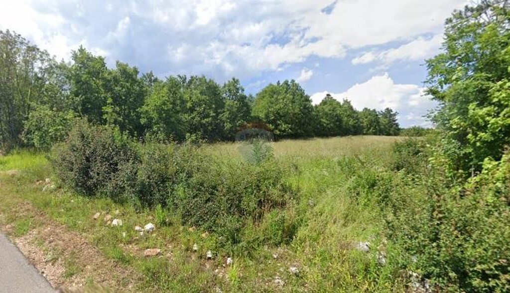 Image 6245957 - 1