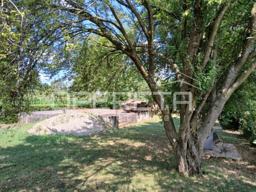 Image 6246172 - 6
