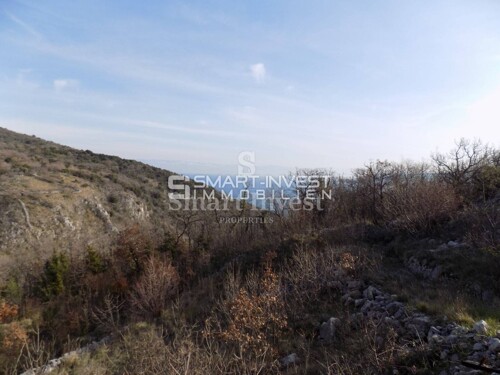 Thumbnail 6246193 - 8