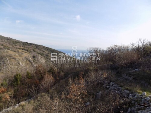 Thumbnail 6246193 - 9