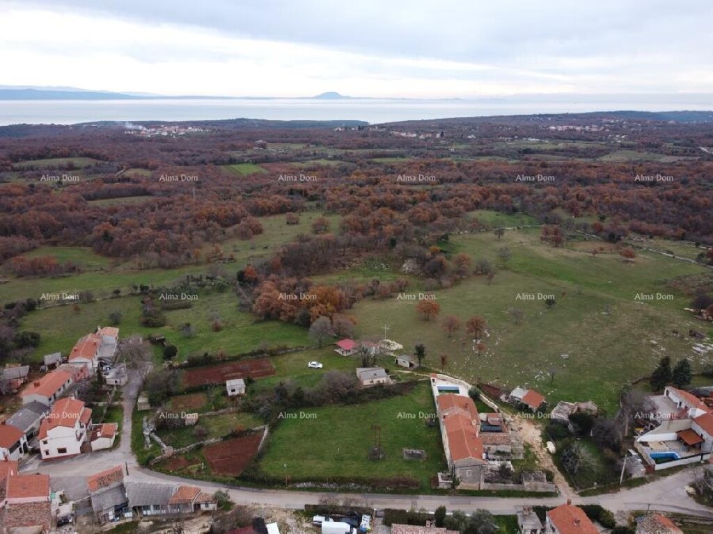 Image 6246211 - 7