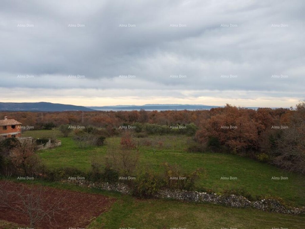Image 6246211 - 8