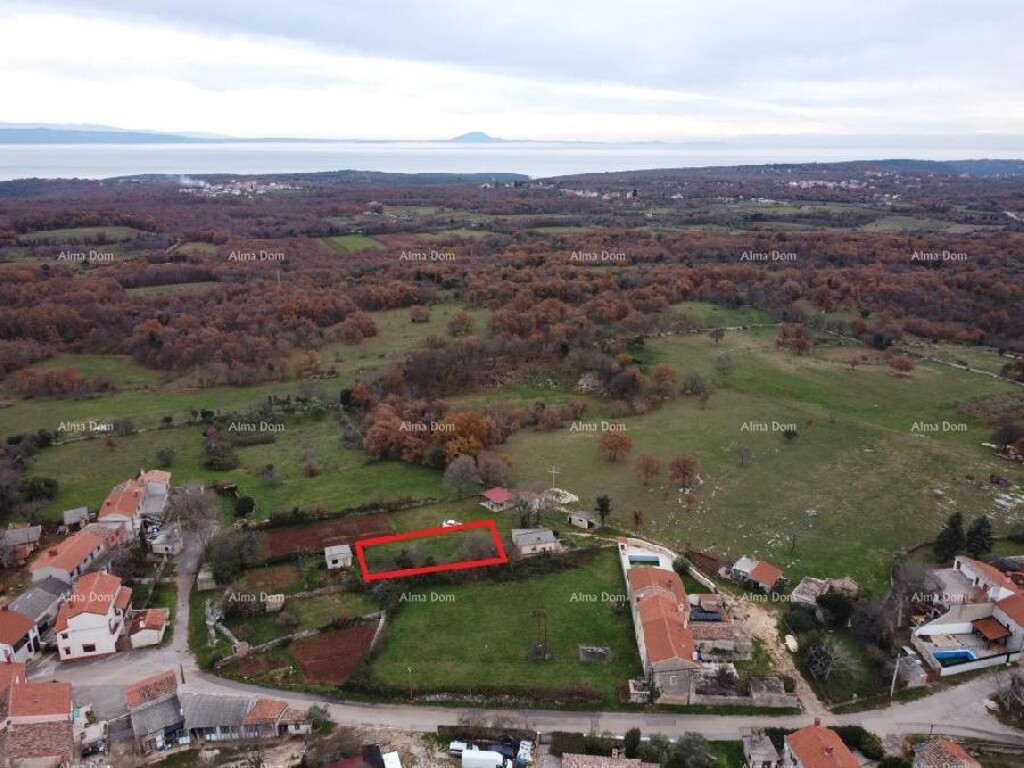 Image 6246211 - 6