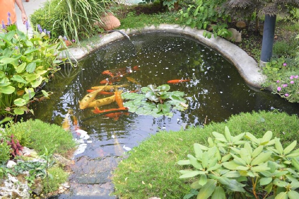 Image 6246214 - 10