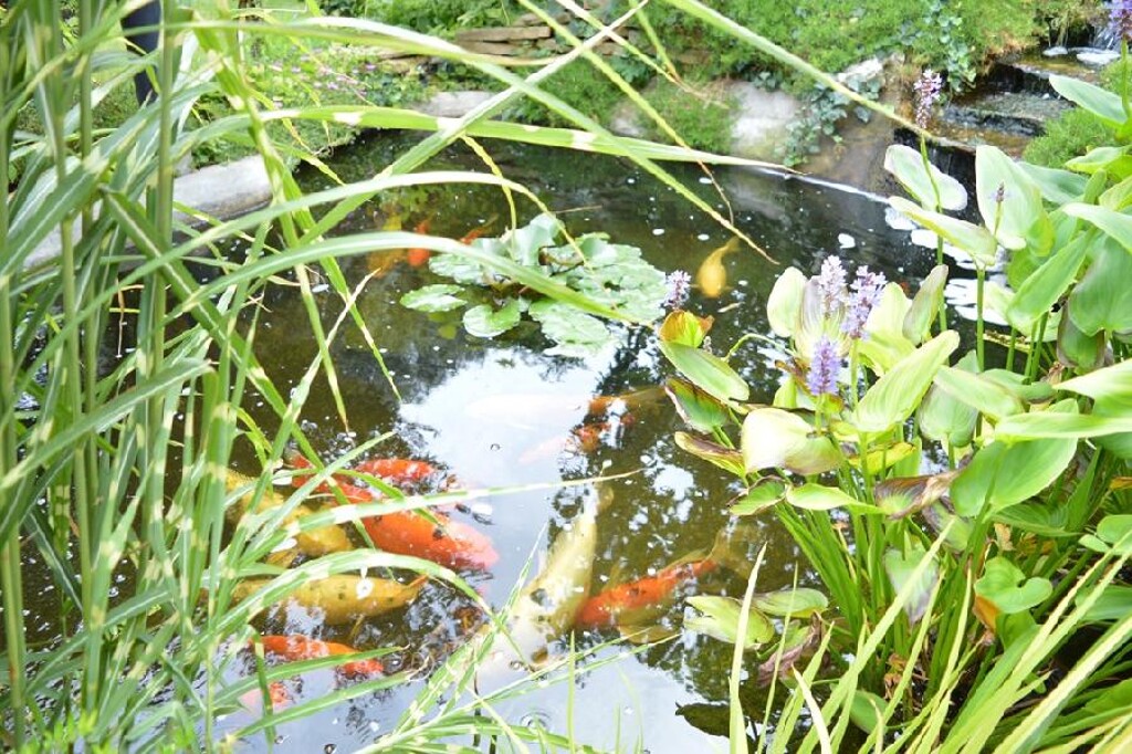 Image 6246214 - 9